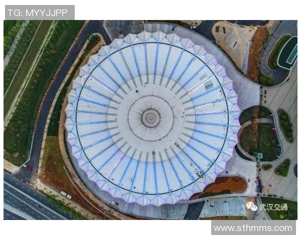 武汉网球队的控制革新探索与实践全景分析 武汉网球队的控制革新探索与实践全景分析